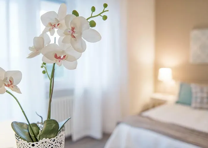 Wonder View كومو