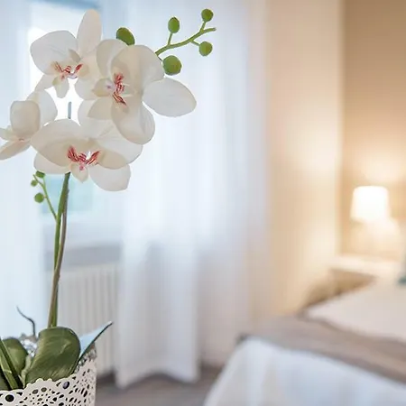 Wonder View - By Myhomeincomo Como